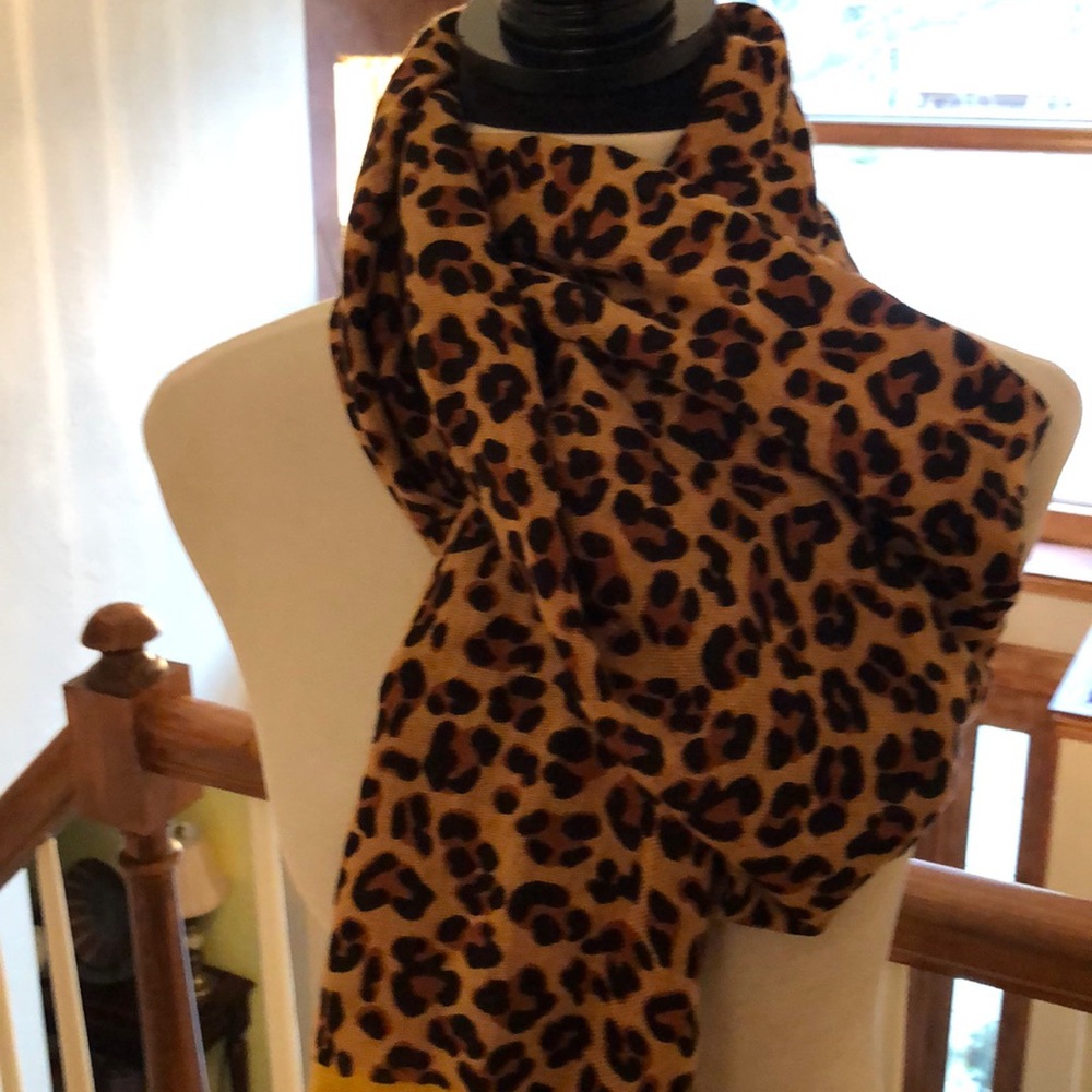 Pashmina - Picture 5 of 5
